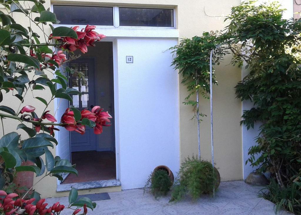 Friends'House - Azores Лагоа Екстериор снимка